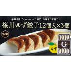 惣菜 レトルト 冷凍 桜川 ゆず餃子 本格 中華
