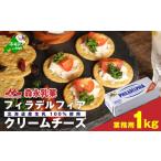 ふるさと納税 加工品等 チーズ 北海道 別海町 森永乳業 業務用 ラフトフィラデルフィア クリームチーズ1kg TY0000004 (チーズ ちーず クリームチーズ 乳…