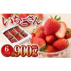 ふるさと納税 いちご 佐賀県 白石町  産地直送 白石産いちご「いちごさん」 約150g×6パック（計900g以上） 道の駅しろいしカンパニー ／いちご イチゴ アフタ…