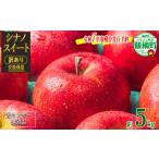 ふるさと納税 りんご 長野県 飯綱町 令和7年度収穫分先行予約品 りんご 5Kg (12〜25玉) 訳あり シナノスイート 果物 交換保証 長野 信州 光センサー …