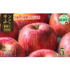 ふるさと納税 りんご 長野県 飯綱町  感謝りんご ／ 光センサー選別品 りんご サンふじ 訳あり 5kg （ 12玉 〜 25玉 ） 交換保証 ながの農業協同組合 2026年12…