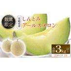 ふるさと納税 メロン メロン青肉 宮崎県 新富町  数量限定 しんとみアールスメロン 2L2玉 計3kg以上 先行予約 国産 フルーツ 果物 宮崎県産 2026年5月〜7月の…
