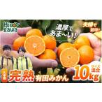 ふるさと納税 果物類 みかん 和歌山県 広川町 完熟 有田 みかん サイズ混合 10kg 久幸園 ／ 温州みかん 有田みかん 甘い 家庭用 和歌山 柑橘 11月〜2月上旬順…
