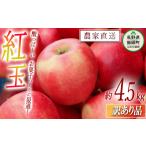 ふるさと納税 りんご 長野県 飯綱町 りんご 紅玉 訳あり 4.5kg 中村ファーム 沖縄県への配送不可 2025年9月中旬頃から2025年11月上旬頃まで順次発送予定 令和7…