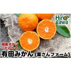 ふるさと納税 果物類 みかん 和歌山県 広川町 頑固オヤジの 有田 みかん 10kg 家庭用 ／ 温州みかん 有田みかん 甘い 訳あり 和歌山 柑橘 11月中旬〜1月上旬に…