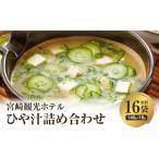 加工品等 宮崎観光ホテル ひや汁 16パック