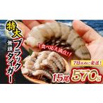 ふるさと納税 エビ・カニ等 エビ 大阪府 阪南市 特大 ブラックタイガー 無頭えび 570g前後（15尾） 入金確認後7営業日程度で発送 ｜海老 えび エビ ブラックタ…