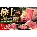 牛肉 セット 肉のプロが厳選 3回定期便 佐賀牛