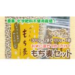 雑穀 もち麦300g2袋 100g4袋 d10-21