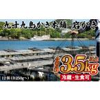 ふるさと納税 牡蠣 生牡蠣 長崎県 佐世保市 A174p 九十九島かき本舗岩がきB
