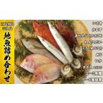 魚貝類 鯛 A184p 五島 列島 宇久島 地魚