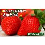 ふるさと納税 いちご 香川県 丸亀市 いちご さぬきひめ 苺 1kg 250g×4パック 果物 フルーツ くだもの イチゴ さぬき姫 ジューシー 果汁 甘い 季節 ビタミンC …