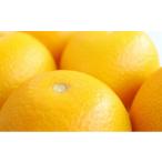 ふるさと納税 みかん・柑橘類 香川県 丸亀市  先行予約 はっさく 八朔 約5kg 柑橘 ミカンみかん 蜜柑 果物 くだもの フルーツ 果実 ギフト 贈答用 プレゼント …