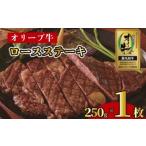 ステーキ 250g