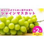 ショッピングシャインマスカット ふるさと納税 香川県 丸亀市 [No.5341-0154]おひさまがきらめく瀬戸内育ち！シャインマスカット 約2kg