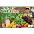 セット 詰合せ 野菜 定期便 2回 詰め合わせ 10種