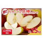 ふるさと納税 りんご 青森県 五所川原市 2025年12月中旬発送 訳あり 旬の美味しいりんご 約15kg 青森産 おまかせ2品種 12月中旬発送(11日〜20日)