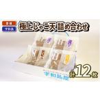かまぼこ 練り製品 じゃこ天 セット 極上 詰め合わせ