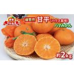 ショッピング甘平 ふるさと納税 みかん・柑橘類 愛媛県 宇和島市 甘平 高級柑橘 2kg 贈答用 ハウス栽培 先行予約 ハマみかん ハウスみかん 愛媛県 オリジナル 果物 くだもの フ…