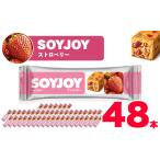 加工品等 SOYJOY ソイジョイ プラントベース