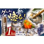 旬の鮮魚等 なまこ 約1kg