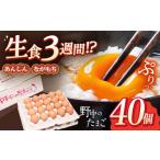 たまご 野中のたまご 40個