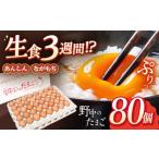 たまご 野中のたまご 80個