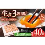 たまご 野中のたまご 計120個