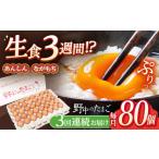 産みたて新鮮卵 野中のたまご 80個×3回