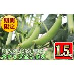 豆類 受付中 予定 産スナップエンドウ 1.5kg