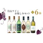 ふるさと納税 ワイン 白ワイン 山形県 鶴岡市 C85-201　月山ワイン　白ワイン６本　お楽しみセット