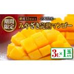 ショッピングふるさと納税 マンゴー ふるさと納税 マンゴー 宮崎県 日南市 みやざき 完熟マンゴー 3L × 1玉 期間限定 数量限定 マンゴー 宮崎 フルーツ 果物 くだもの 国産 食品 先行予約 2026 …