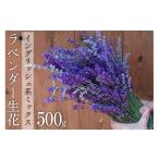 花 優しい香り ラベンダー生花 イングリッシュ系ミックス 5…