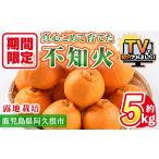 みかん 柑橘類 受付中 予定 \テレビで紹介されました