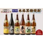 徳之島 黒糖焼酎 1 800ml×2本セット