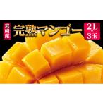 ふるさと納税 マンゴー 宮崎県 新富町  先行予約 完熟マンゴー 2Lサイズ 3玉 南国宮崎からお届け フルーツ 果物 人気 贈答品 C246-26