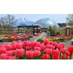 fu.... налог входной билет * пригласительный билет Tottori префектура юг часть блок TH01.... цветок раз . подарок входить . талон 2 листов 