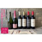 ワイン セット ルミエール ~ワイン定期便ハーフコース~