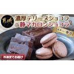 ケーキ カステラ ガトーショコラ 濃厚テリーヌショコラ&静…
