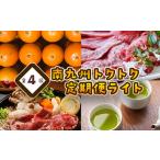 牛肉 発送月固定定期便 南九州トクトク定期便ライト全4回