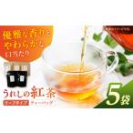 紅茶 うれしの紅茶5袋 NAP001