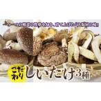 fu.... налог овощи вид .. . Gunma префектура внизу . рисовое поле блок предубеждение ....3 вида комплект F21K-174