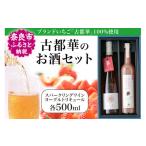 ふるさと納税 ワイン スパークリングワイン 奈良県 奈良市 古都華のお酒セット スパークリングワイン・ヨーグルトリキュール各500ml いちご お酒 ストロベリー…