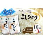 米 コシヒカリ 定期便3ヶ月 令和8年産 新米