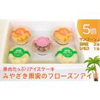 菓子 アイス 果実 アイスケーキ みやざき果実のフローズン…