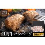 ハンバーグ店の但馬牛ハンバーグ 10個セット