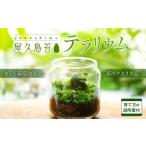 花 苗木 屋久島苔テラリウム