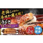 鰻 蒲焼き2尾 NAI009 全12回