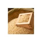 ふるさと納税 玄米 熊本県 甲佐町  先行予約 令和8年11月から配送予定 甲佐町　上田さんが育てた美味しいお米（玄米）３０ｋｇ - お米 玄米 米 ひのひかり ヒ…