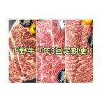 牛肉 ステーキ 下野牛 定期便3回コース 配送月